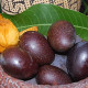 Previous