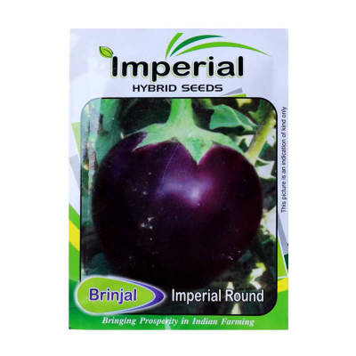 Brinjal Imperial Round Seeds - Vegetable Hybrid Seeds (pack of 5)