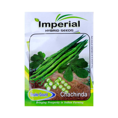 Snake Gourd - Chachinda - Vegetable Hybrid Seeds (pack of 5)