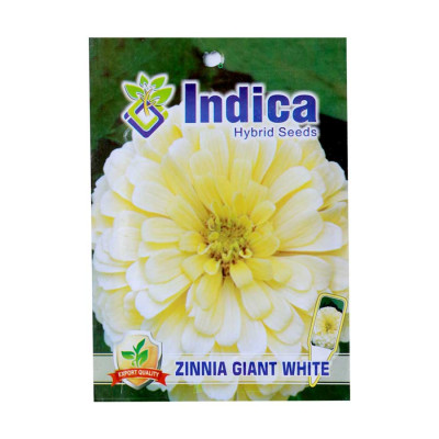 Zinnia Giant White Flower Hybrid Seeds (pack of 5)