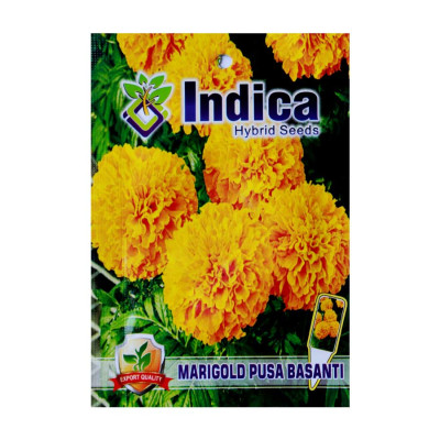 Marigold Pusa Basanti Flower Hybrid Seeds (pack of 5)
