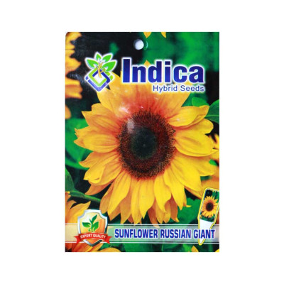 Sunflower Russian Giant Flower Hybrid Seeds (pack of 5)