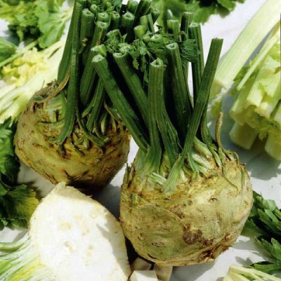Celeriac IMP PRAGER RIESEN Vegetable Seeds
