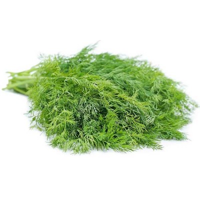Dill Imported Soya Herb Seeds