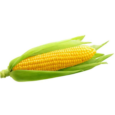 Baby Corn F1 Hybrid - Vegetable Seeds
