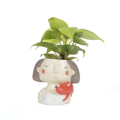 Dreaming Red Girl Design planter with Money Plant