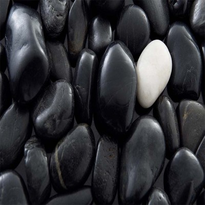 Glossy black pebbles with white touch