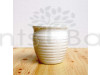 Circle Shape White Dotted Ceramic Pot