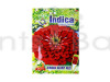 Zinnia Giant Red Flower Hybrid Seeds (pack of 5)