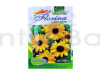 Sunflower Miniature Flower Hybrid Seeds (pack of 5)