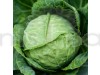 Broccoli Green - Vegetable Seeds