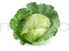Cabbage Special Pride - Vegetable Seeds