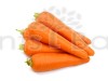 Carrot Early Nantus - Vegetable Seeds