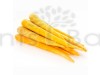 Carrot Yellow Taborska Z Seeds - Vegetable Seeds