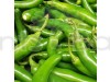 Chilli G 4 - Vegetable Seeds