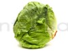 Lettuce Ice Berg Crispiano Vegetable Seeds