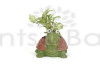 Cute Tortoise Resin Syngonium Pot