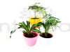 Natural Air Purifier Plants for Home