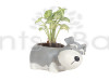 Resin Pot Dog Design Animal Planter Grey & White Color Unique & Trendy Design with Syngonium Plant