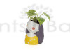 Shy Girl Resin Pot with Exotic Money Plant