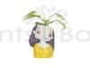 Shy Girl Resin Pot with Exotic Money Plant