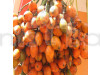 Supari Fruit Plant