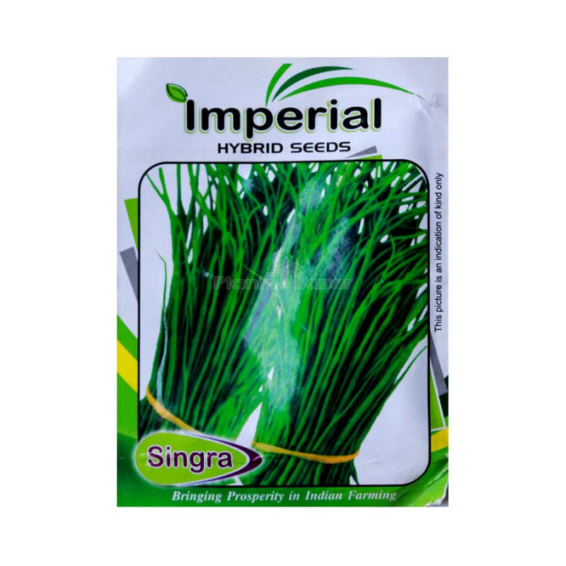 Singra Seeds - Vegetable Hybrid Seeds (pack of 5)