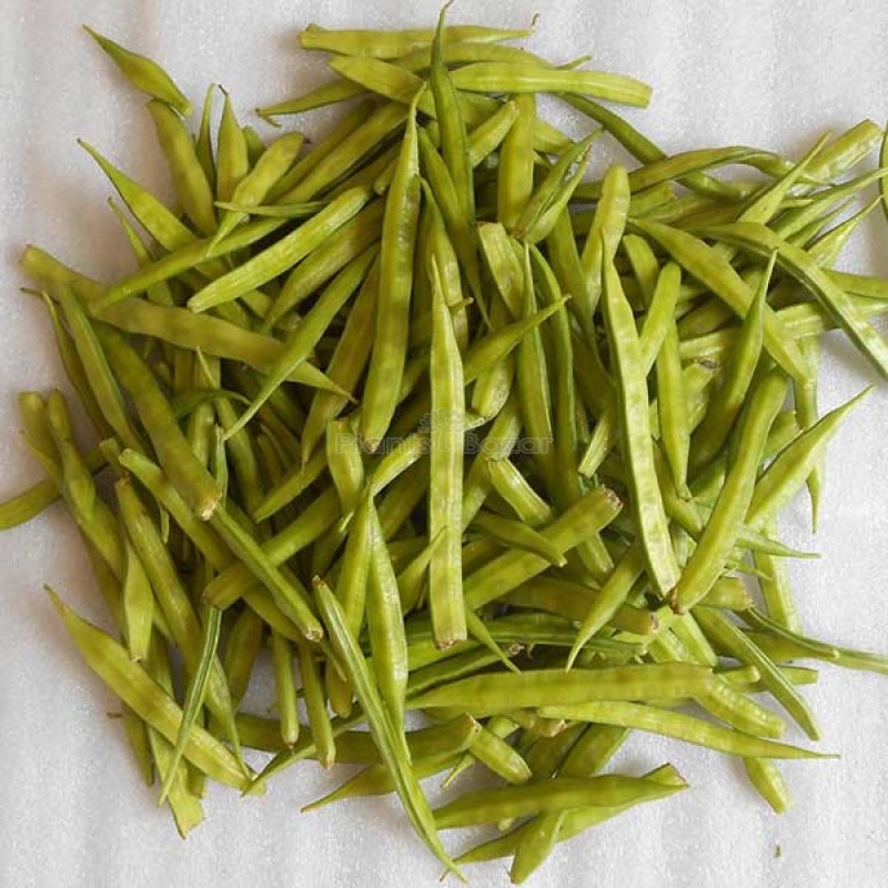 Guar Pusa Nova - Vegetable Seeds